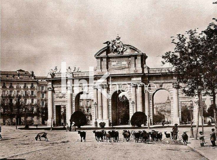 A Rebaño de cabras en la Puerta de Alcalá 1896