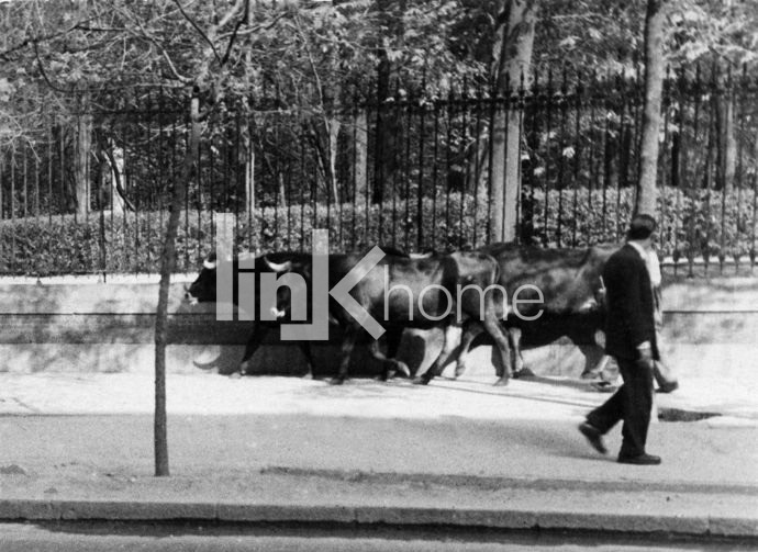 A Toros Calle Alfonso XII 1940