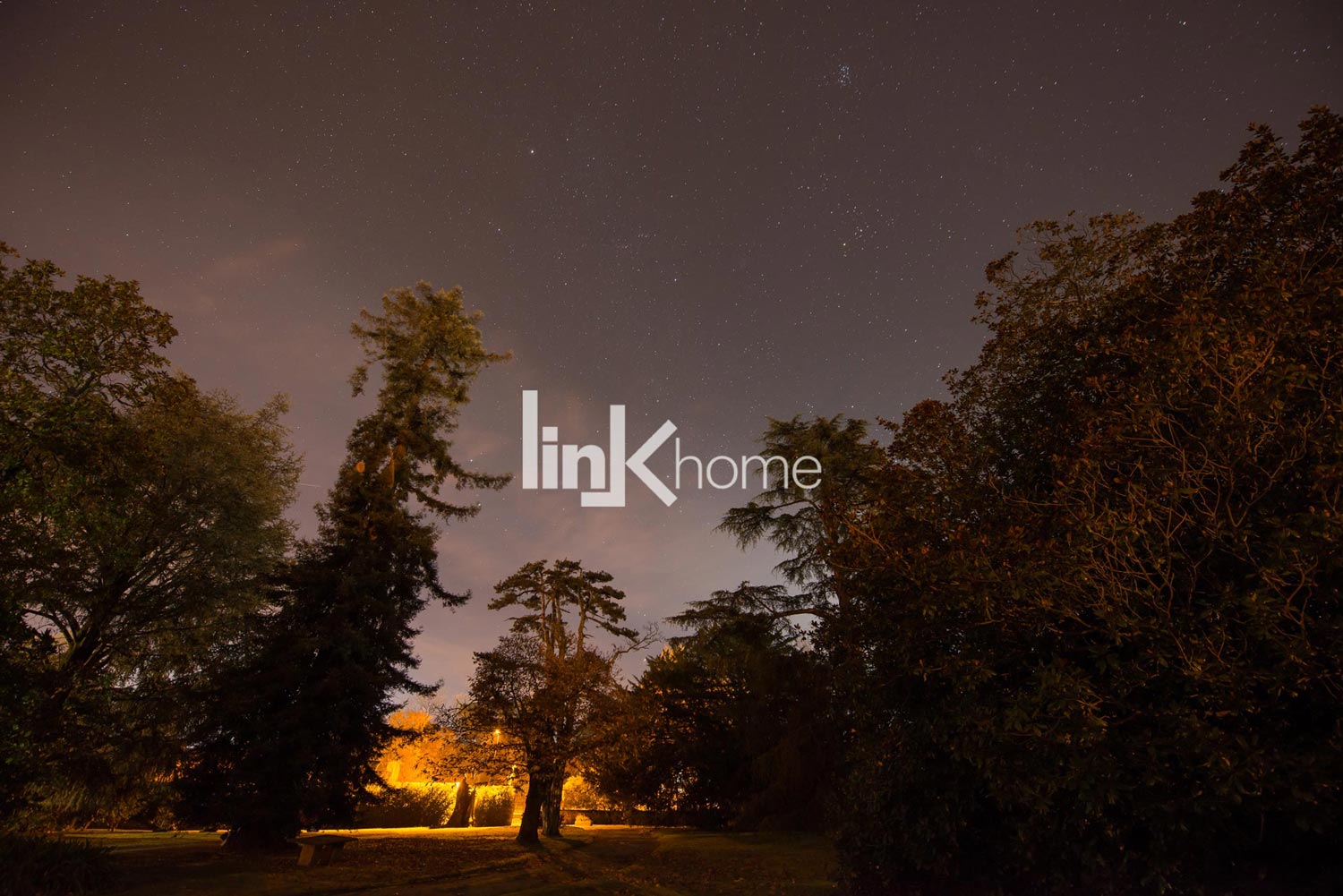 Vista nocturna del jardín