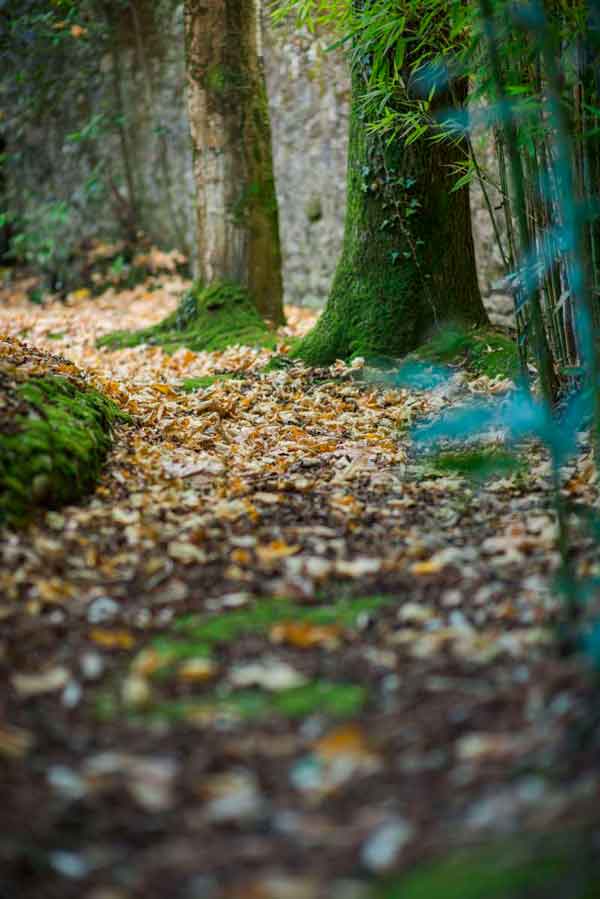 Rincones del jardín