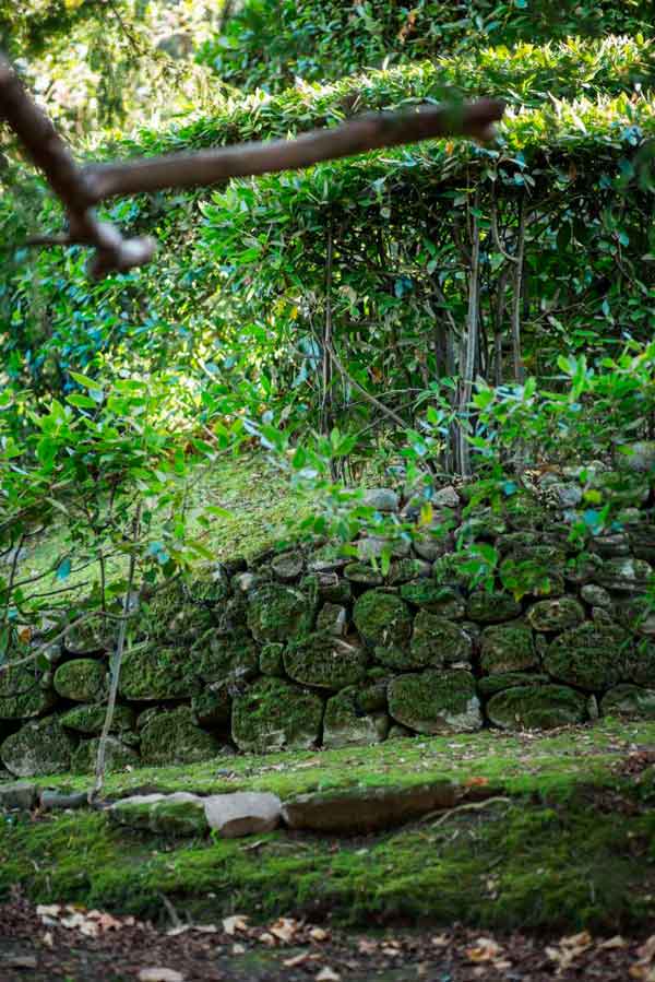 Rincones del jardín - Montaña rusa