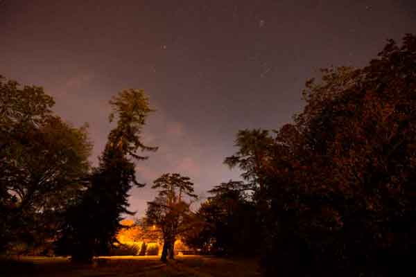 Vista nocturna del jardín